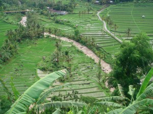 6 Sawah Terasering Must Visit Saat Berwisata ke Bali 6 Sawah Terasering Must Visit Saat Berwisata ke Bali