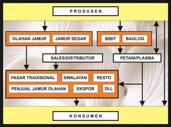 Jamur Tiram Karakteristik Potensi Bisnis dan Proses Jamur Tiram Karakteristik Potensi Bisnis dan Proses