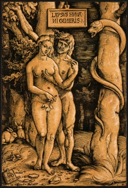 http://www.sexualfables.com/images/Baldung-Adam-and-Eve.jpg