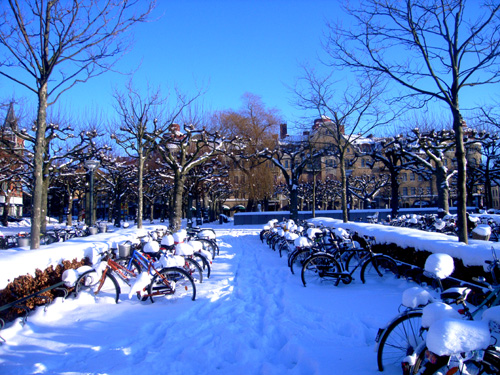 Efek Pemanasan Global Musim Dingin Terhangat di Swedia Efek Pemanasan Global Musim Dingin Terhangat di Swedia