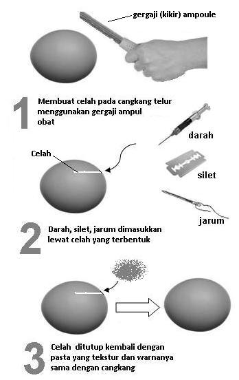 Telur Berisi Jarum Dan Silet Fenomena Pengobatan Gaib