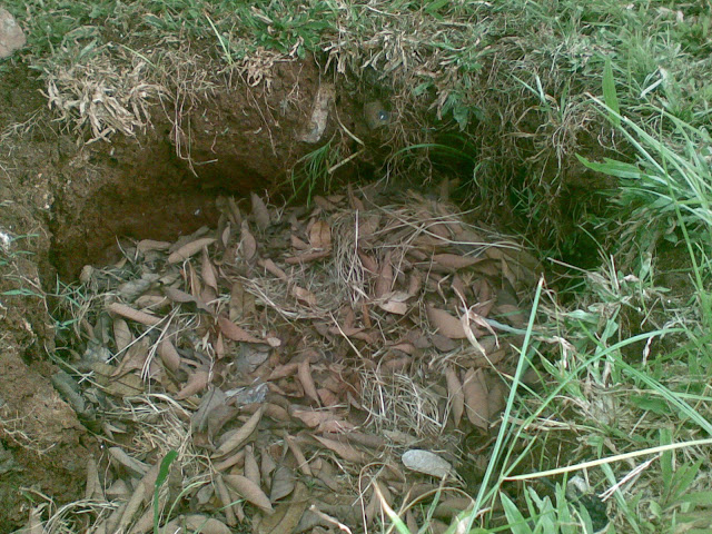 Mengelola Sampah di Rumah Jadikan Gaya Hidup oleh Ani Mengelola Sampah di Rumah Jadikan Gaya Hidup oleh Ani