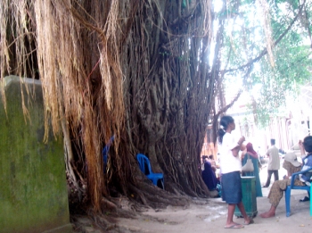 Foto Story Batu Qur An Di Cibulakan Kompasiana Com Foto Story Batu Qur An Di Cibulakan Kompasiana Com