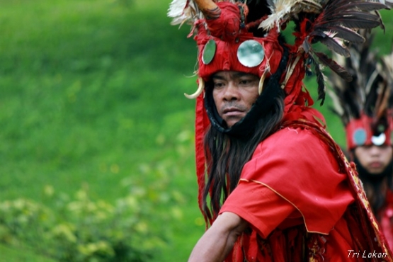 WPC 29 Mata Melotot Muka Garang Ciri Khas Tari WPC 29 Mata Melotot Muka Garang Ciri Khas Tari