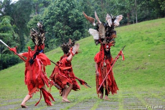 WPC 29 Mata Melotot Muka Garang Ciri Khas Tari WPC 29 Mata Melotot Muka Garang Ciri Khas Tari