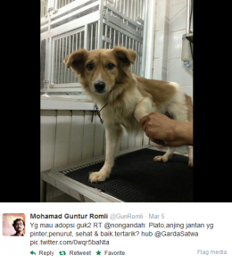 Pluto Anjingnya Guntur Romli (twitter.com)