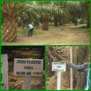 Pengelolaan Sampah di Perkebunan Kelapa Sawit Patut Ditiru Pengelolaan Sampah di Perkebunan Kelapa Sawit Patut Ditiru