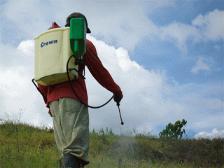 RACUN RUMPUT BUATAN SENDIRI YANG MURAH MERIAH - Kompasiana.com