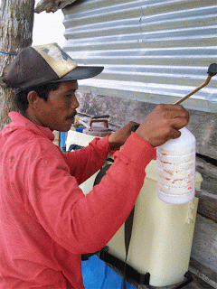 Racun Rumput Buatan Sendiri Yang Murah Meriah Kompasiana Com
