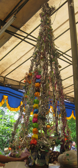 25 Inspirasi Keren Kreasi Pohon Natal Dari Sedotan Zee 25 Inspirasi Keren Kreasi Pohon Natal Dari Sedotan Zee