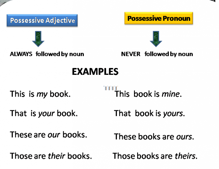 Contoh Soal Possessive Pronoun Soal Kita Contoh Soal Possessive Pronoun Soal Kita