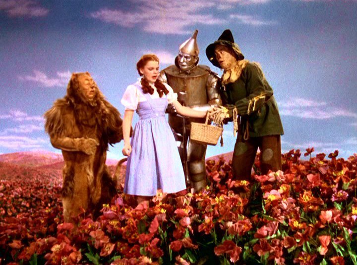 Wizard-of-Oz-Caps-the-wizard-of-oz-1739011-720-536