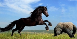 Ilustrasi/Abdul Muis Syam: Kuda Hitam dan Komodo Hitam.