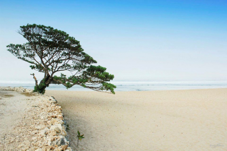 pantai pok tunggal, gunungkidulkab.go.id