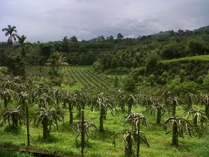 13573132601784418199