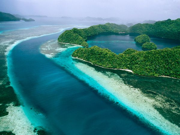 Palau | Foto: Tim Laman | Sumber: nationalgeographic.com