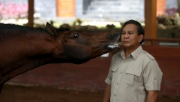 tempo.co - Prabowo Subianto bersama kudanya di kawasan Sentul - Aditia Noviansyah