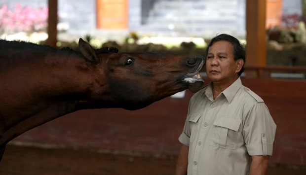 tempo.co - Prabowo Subianto bersama kudanya di kawasan Sentul - Aditia Noviansyah