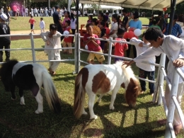 detik.com - kuda poni dan anak-anak yatim di acara santunan di NPC