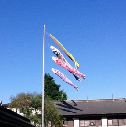 Koinobori ( simbol hari anak laki2 di Jepang ) - foto sapto 