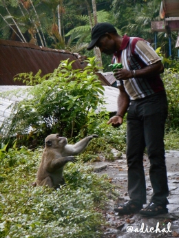 Interaksi Wisatawan dan Hewan di Taman Nasional Gunung Merapi (dok. Pribadi)