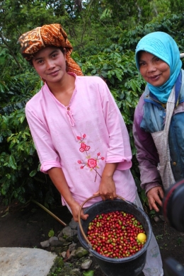 Dua penanam kopi sedang memperlihatkan hasil panenannya di Takengon, Aceh Darussalam (Sumber: 