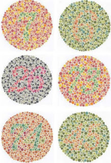 83 Gambar Untuk Cek Buta Warna Paling Bagus 83 Gambar Untuk Cek Buta Warna Paling Bagus
