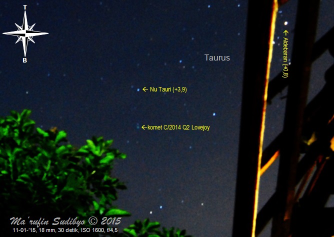 Gambar 5. Komet C/2014 Q2 Lovejoy menggantung di langit barat dengan latar depan pohon mangga, pada observasi hari ketiga. Diabadikan dengan Nikon D60 dan diolah dengan GIMP 2. Sumber: Sudibyo, 2015.