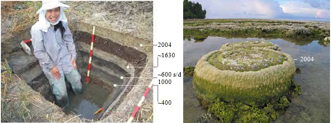 Gambar 6. Kiri: lapisan endapan takbiasa dari tsunami dari gempa besar/akbar di zona subduksi segmen Simeulue-Andaman-Nicobar yang dijumpai di bekas rawa 500 meter dari garis pantai di pulau Phra Thong (Thailand). Kanan: Karang mikroatol (karang cincin kecil) yang terangkat dari dasar laut pasca gempa akbar Sumatra-Andaman 2004 di pulau Simeulue (Indonesia). Kelak karang ini akan terendam kembali tatkala zona subduksi dibawahnya mulai terkunci kembali. Dari endapan tsunami dan naik turunnya karang inilah diketahui gempa akbar di ujung utara pulau Sumatra berulang setiap 600 hingga 700 tahun sekali. Sumber: Yulianto dkk, 2010 & Natawidjaja, 2007.