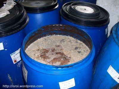 bak atau drum fermentasi