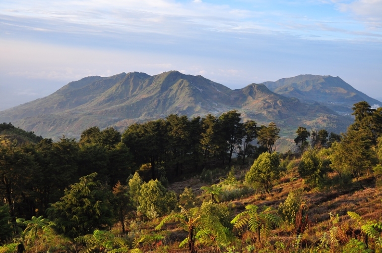 Bukit menjulang