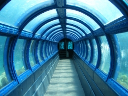Under Water Tunnel Aquarium Pulau Putri Pulau Seribu