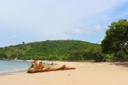 Pantai Pink Lombok