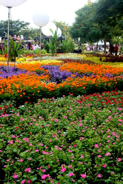 Floria 2011 Di Putrajaya Malaysia Kompasiana Com