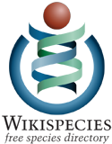 Logo Wikispecies