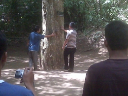 Bagi yang bisa memegang tongolan tepat ditengah pohon dengan mata tertutup maka keinginannyabisa terkabul