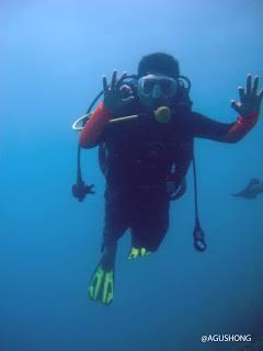 Menyelam di Pulau Seribu (dok. Agus Hong)