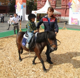 Pelatihan kuda poni (pic:kremlin-military-tattoo.ru)