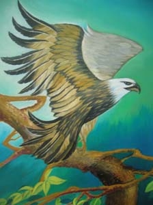 Menggambar Burung Rajawali Menggambar Burung Elang Cara Menggambar Burung Yang Mudah Youtube