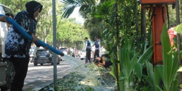 Wali Kota Surabaya Tri Rismaharini ikut turun membenahi kondisi taman di sepanjang Jalan Raya Darmo dan Taman Bungkul Surabaya yang rusak diinjak-injak ribuan warga, Minggu (10/5/2014). (SURYA/Habibur Rohman)