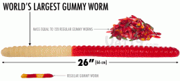 66 cm Long Gummy Worm Candy