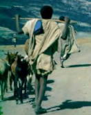 Gembala Ethiopia