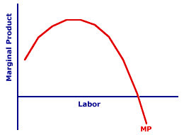 Marginal Product Curve