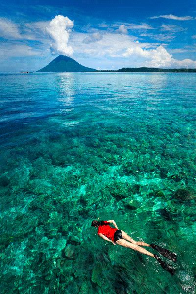 Felix Hug: Bunaken, Manado ❀ Bali Floating Leaf Eco-Retreat ❀ http://balifloatingleaf.com ❀: