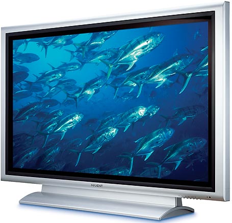 Monitor Plasma Display