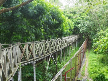 Wisata Beruang Madu Di Balikpapan Kalimantan Timur Halaman Wisata Beruang Madu Di Balikpapan Kalimantan Timur Halaman