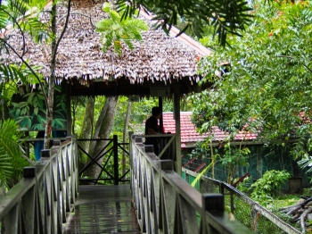 Wisata Beruang Madu Di Balikpapan Kalimantan Timur Halaman Wisata Beruang Madu Di Balikpapan Kalimantan Timur Halaman