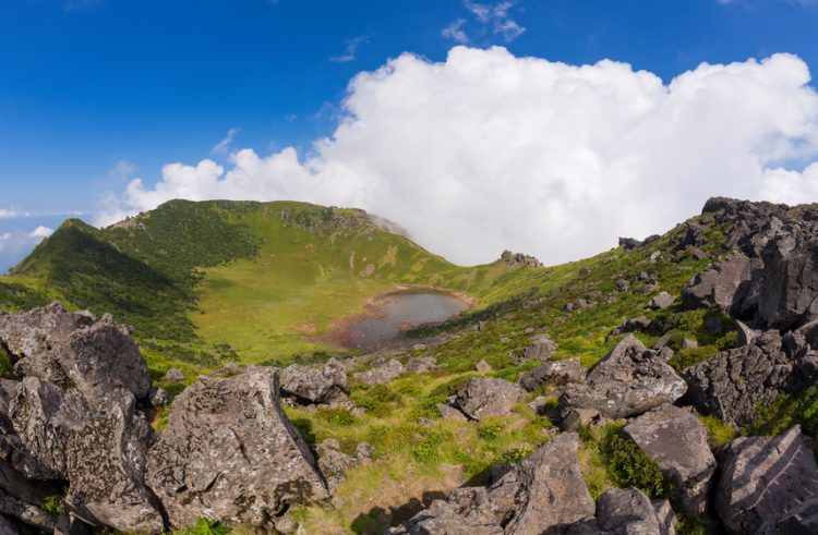 Pemandangan hijau di Pulau Jeju yang menyegarkan mata. (Sumber gambar: IStock)