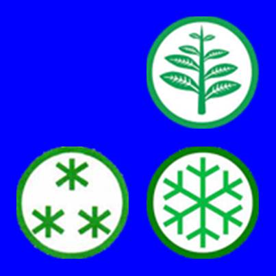 14004897429682892