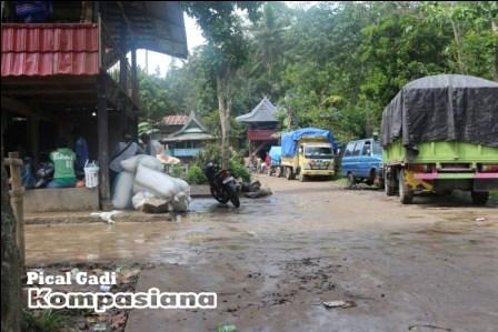 14035017041918071412